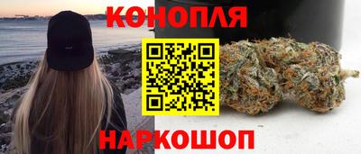 крисы Гай
