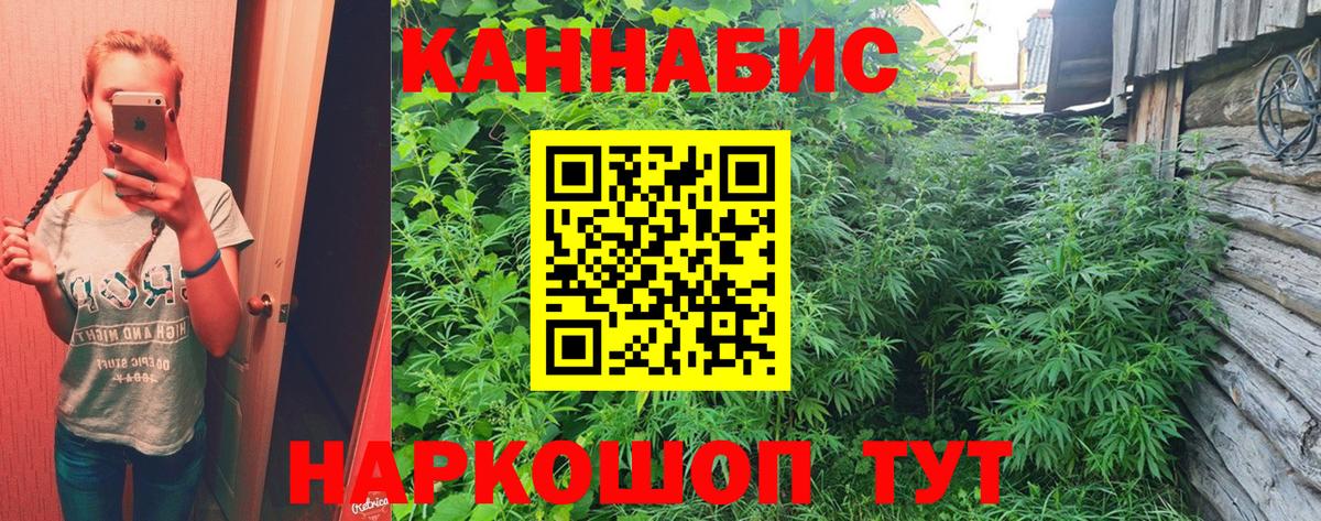 Шишки марихуана White Widow  Шишки марихуана тримм  Вход с VPN  Солнечногорск  Шишки марихуана конопля 